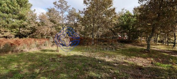 15000m² Land in Baiao, Portugal No. 37842 16