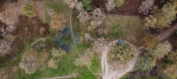 15000m² Land in Baiao, Portugal No. 37842 10