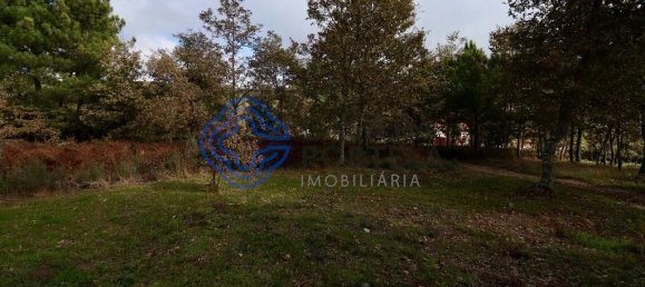 15000m² Land in Baiao, Portugal No. 37842 5