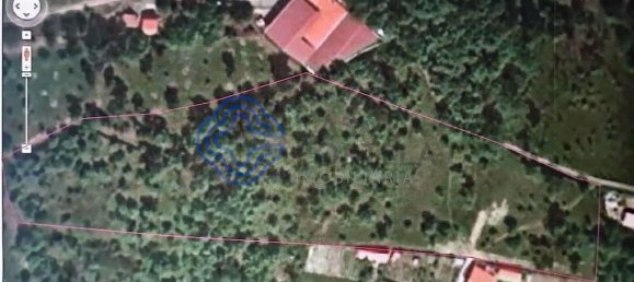 15000m² Land in Baiao, Portugal No. 37842 12