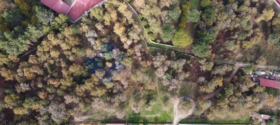 15000m² Land in Baiao, Portugal No. 37842 8