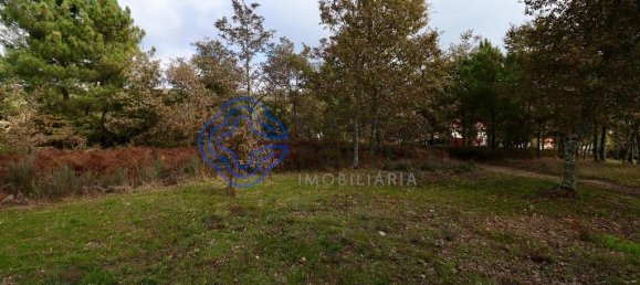 15000m² Land in Baiao, Portugal No. 37842 4