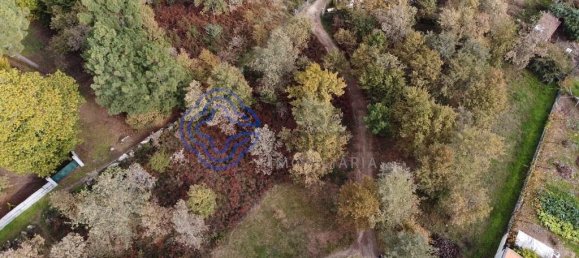 15000m² Land in Baiao, Portugal No. 37842 7