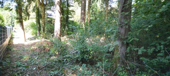 Terrain à Harburg, Germany No. 341238 10