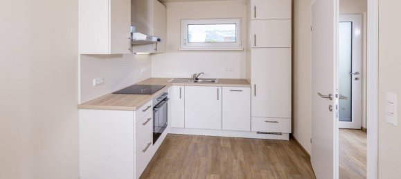 Apartamento de 2 divisões em Bad Goisern am Hallstattersee, Austria N.º 243899 6