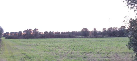 130000m² Land in Lamezia Terme, Italy No. 88127 7