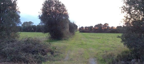 130000m² Land in Lamezia Terme, Italy No. 88127 6