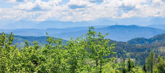 Дом с 5 комнатами в Мосбург, Австрия № 149955 15