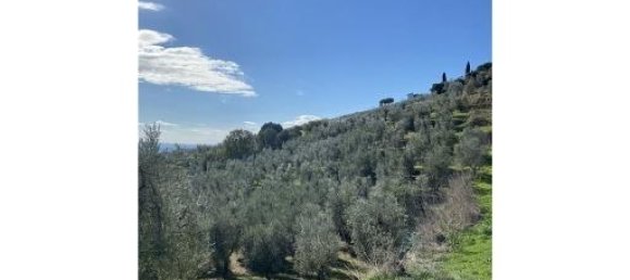 1-Zimmer Grundstück in Capraia e Limite, Italy, Nr. 34508 7