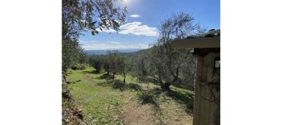 1-Zimmer Grundstück in Capraia e Limite, Italy, Nr. 34508 3