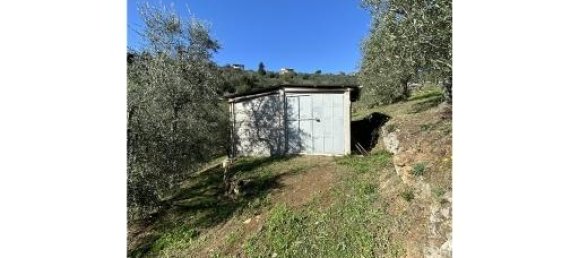 1-Zimmer Grundstück in Capraia e Limite, Italy, Nr. 34508 2