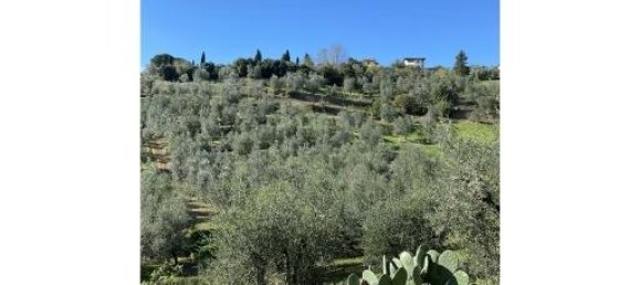 1-Zimmer Grundstück in Capraia e Limite, Italy, Nr. 34508 6