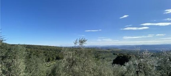 1-Zimmer Grundstück in Capraia e Limite, Italy, Nr. 34508 9