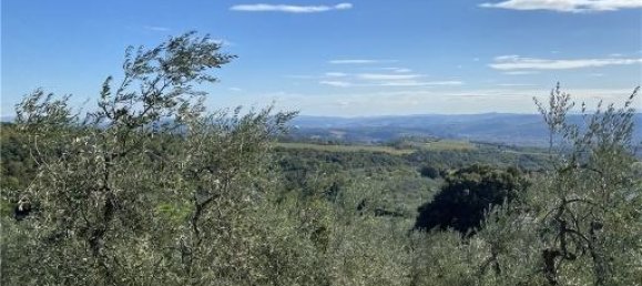 1-Zimmer Grundstück in Capraia e Limite, Italy, Nr. 34508 8