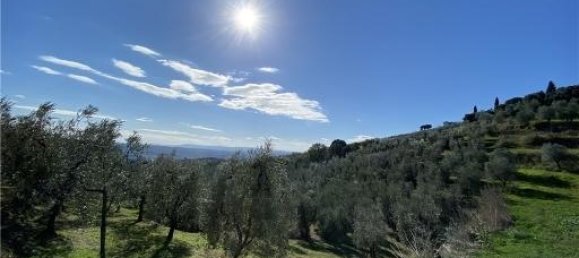 1-Zimmer Grundstück in Capraia e Limite, Italy, Nr. 34508 4