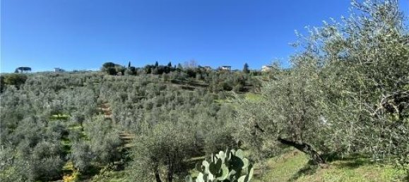 1-Zimmer Grundstück in Capraia e Limite, Italy, Nr. 34508 5