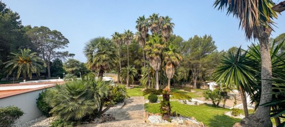 6 bedrooms House in Palma de Majorca, Spain No. 146991 6