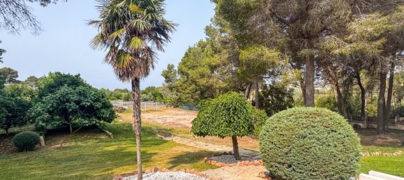 6 bedrooms House in Palma de Majorca, Spain No. 146991 35