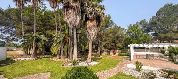 6 bedrooms House in Palma de Majorca, Spain No. 146991 14