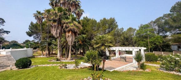 6 bedrooms House in Palma de Majorca, Spain No. 146991 13