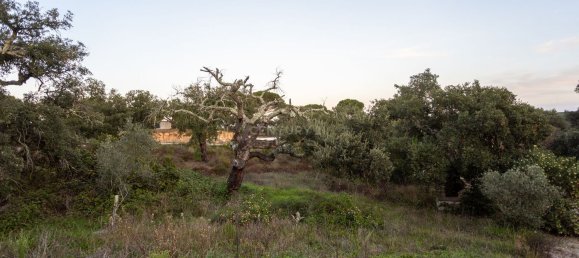 3 Schlafzimmer Haus in Benavente, Portugal, Nr. 122739 28