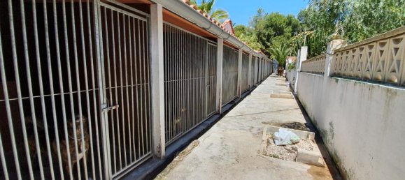 2 غرف نوم عقار تجاري في Benidorm, Spain رقم 4326 11