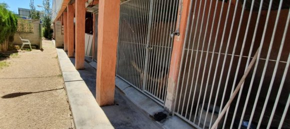 2 غرف نوم عقار تجاري في Benidorm, Spain رقم 4326 8