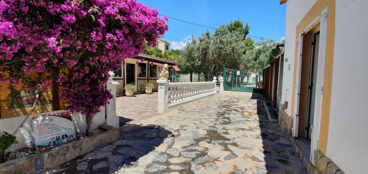 2 غرف نوم عقار تجاري في Benidorm, Spain رقم 4326