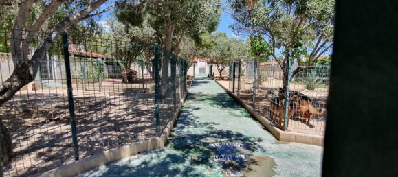 2 غرف نوم عقار تجاري في Benidorm, Spain رقم 4326 9