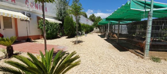 2 غرف نوم عقار تجاري في Benidorm, Spain رقم 4326 16