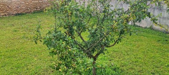 Villa de 5 dormitorios en Le Tignet, France No. 73549 4