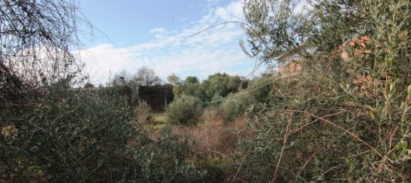  فندق في Thermi, Greece 2000متر مربع رقم 6489 2