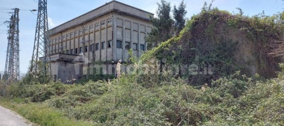  مستودع في Codigoro, Italy 3324متر مربع رقم 318870 8