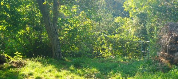 7500m² Hotel in Mouresi, Greece No. 5015 3