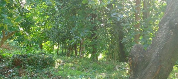 7500m² Hotel in Mouresi, Greece No. 5015 2