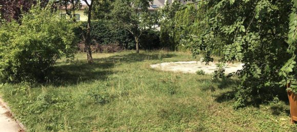  قطعة أرض في Stockerau, Austria رقم 167072 3