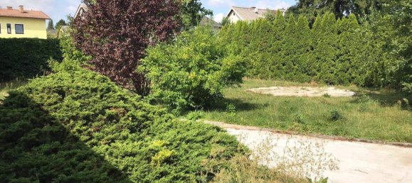  قطعة أرض في Stockerau, Austria رقم 167072 4