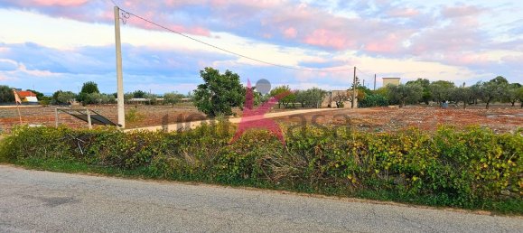 2 rooms House in Mola di Bari, Italy No. 144410 11