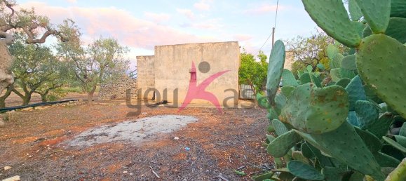 2 rooms House in Mola di Bari, Italy No. 144410 3