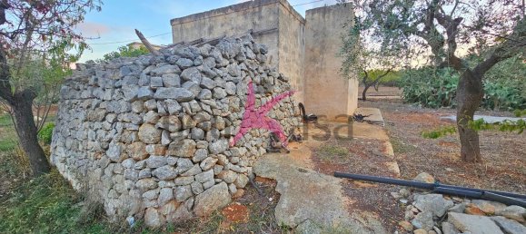 2 rooms House in Mola di Bari, Italy No. 144410 6