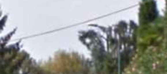 10 rooms Villa in Sarego, Italy No. 118499 10