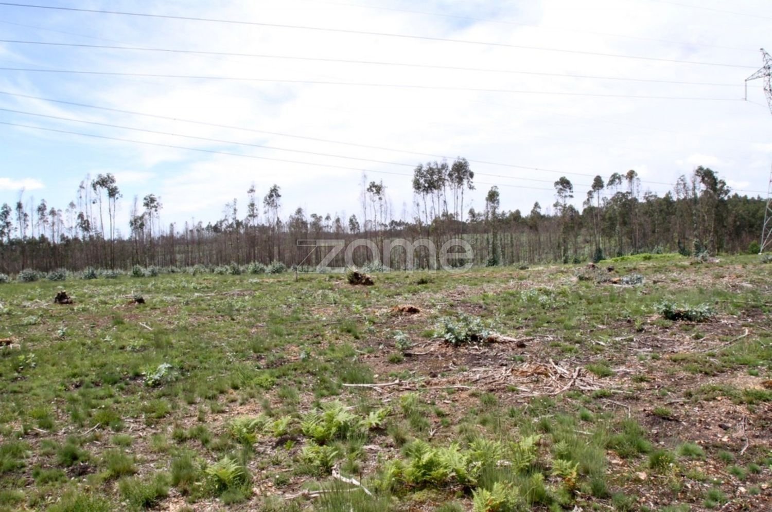 44600m² Land in Albergaria a Velha, Portugal No. 69221