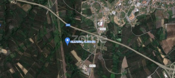 44600m² Land in Albergaria a Velha, Portugal No. 69221 3