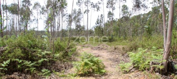 44600m² Land in Albergaria a Velha, Portugal No. 69221 17