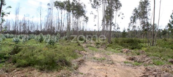 44600m² Land in Albergaria a Velha, Portugal No. 69221 11