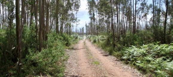 44600m² Land in Albergaria a Velha, Portugal No. 69221 14