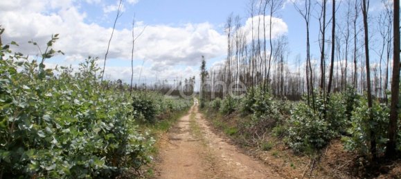 44600m² Land in Albergaria a Velha, Portugal No. 69221 10