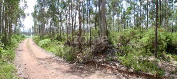 44600m² Land in Albergaria a Velha, Portugal No. 69221 4