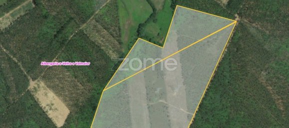 44600m² Land in Albergaria a Velha, Portugal No. 69221 2