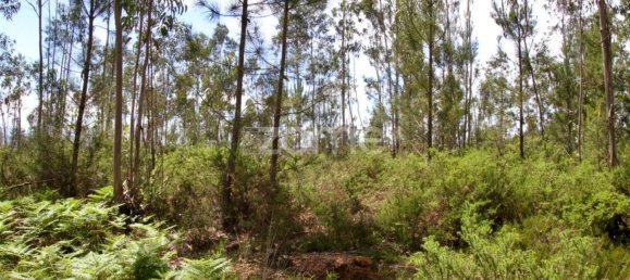 44600m² Land in Albergaria a Velha, Portugal No. 69221 15